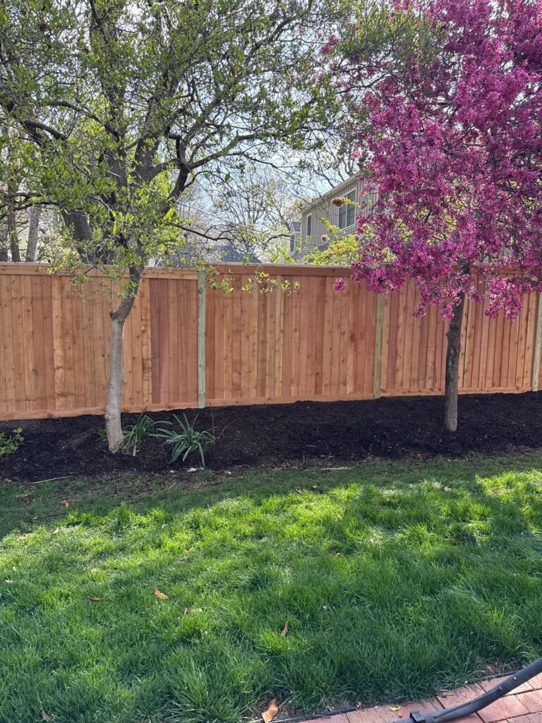 website wood 1 apr 11 2025 10 17am xykn