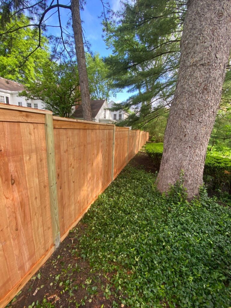 Wooden fence with green groundcover